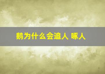 鹅为什么会追人 啄人